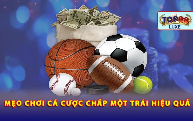 meo-choi-ca-cuoc-chap-mot-trai-hieu-qua